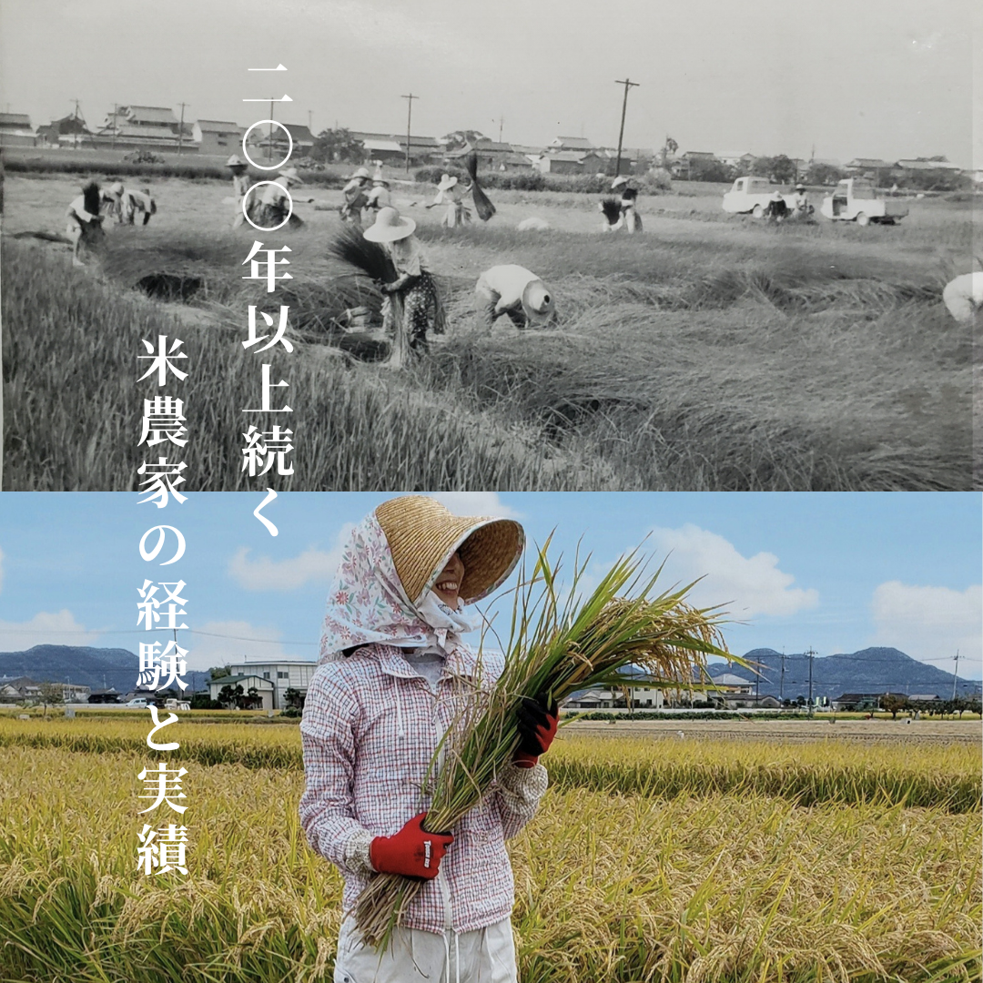 【R7年産】コシヒカリ5kg 岡山・蒜山産 大山湧き水で育てた特別栽培米 送料無料［米屋 寿］[合同会社五雅プランニング] 宅配 特別栽培米こしひかり5㎏