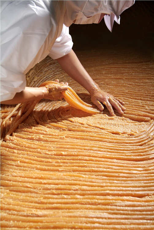 守口漬・奈良漬＆漬け魚詰め合わせ 犬山城下町で人気「漬処 壽俵屋 ㈱扶桑守口食品」 宅配