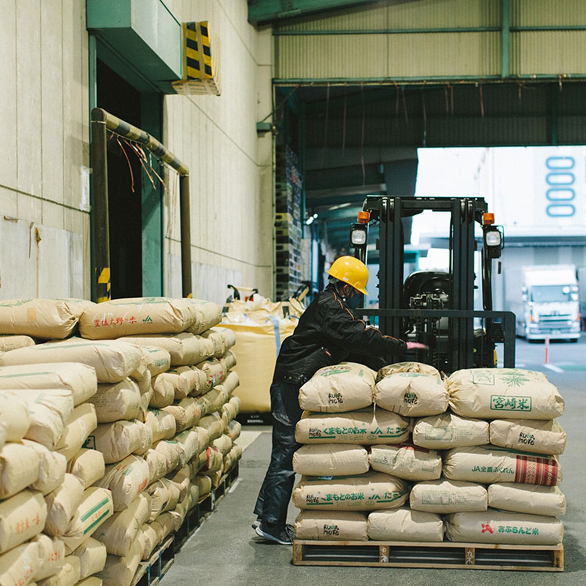 令和7年産 名水白川水源米2kgこしひかり 精米したてで分づきが選べる！送料無料「株式会社カネガエ」 宅配 2kg