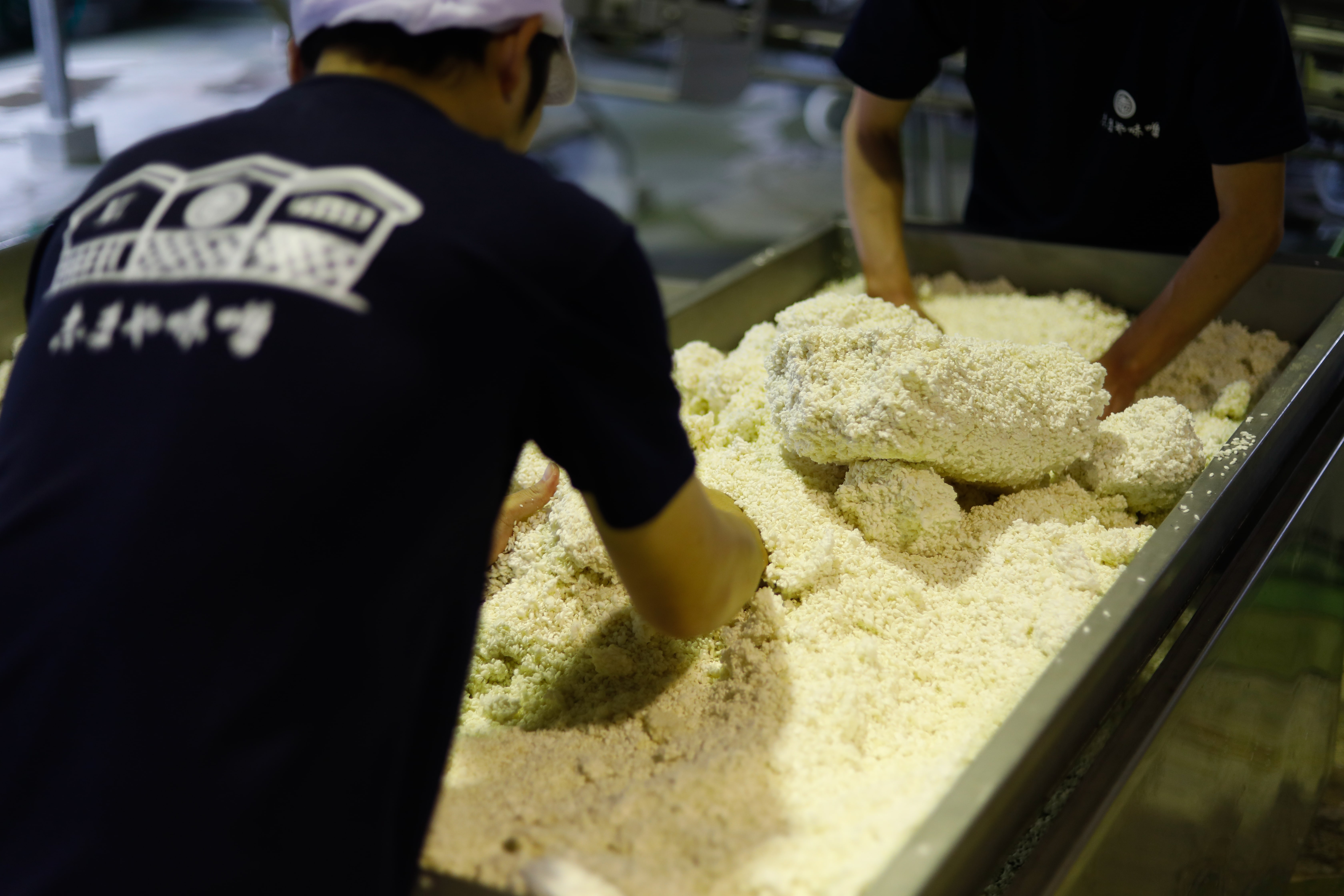 阿波めぐりセット［有限会社　志まや味噌］ 宅配