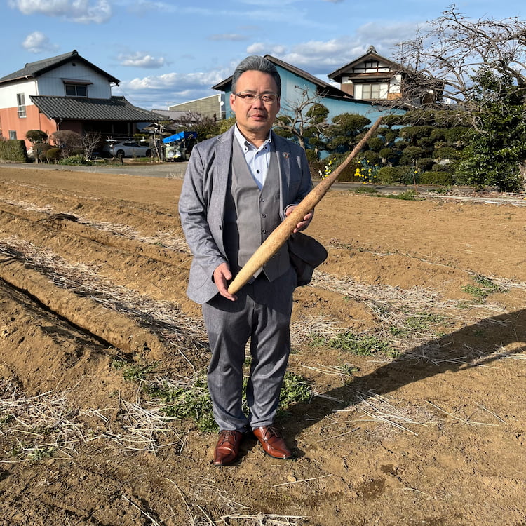 満点自然薯 化粧箱入り 約800g 茨城県産 [新関フードサービス] 宅配 約800g