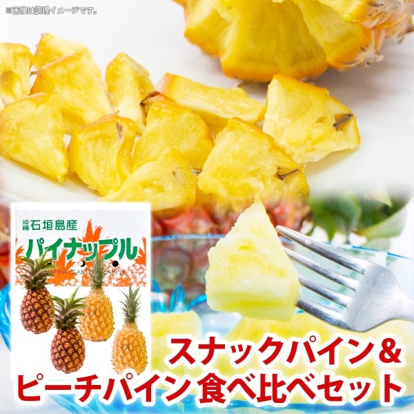 パイン調理イメージ