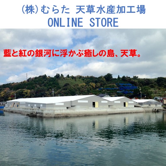 熊本県養殖フグお一人様用とらふぐフルコース（刺身・鍋セット）[(株)むらた　天草水産加工場] 宅配 60