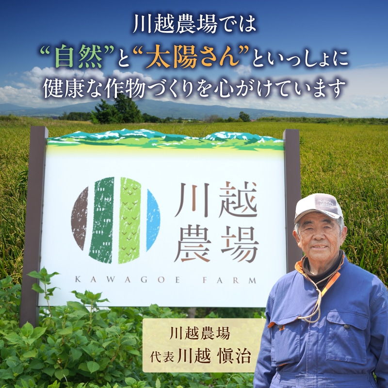 「最短4～7営業日発送」令和7年産 川越さんちの おぼろづき 5kg (5kg×1袋) 雨竜産 おぼろづき 精米 5kg お米 北海道 雨竜町 [有限会社川越農場] 宅配