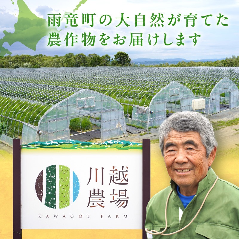 2026年発送 朝採りグリーンアスパラ 2kg 野菜 春 夏 北海道アスパラ 雨竜町産 旬 やわ旨 [有限会社川越農場] 宅配