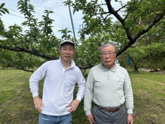 「9月～11月発送予約商品」 岡山県産　シャインマスカット　2房入り1.2Kg　市川農園　産地直送 宅配 1.2K