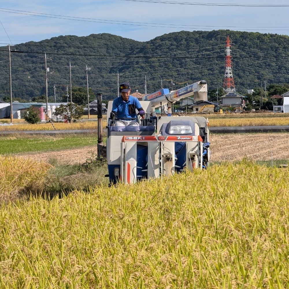 岡山県産 自然栽培米「朝日」白米　5kg [cApriCO product（カプリコプロダクト）] 宅配 5kg