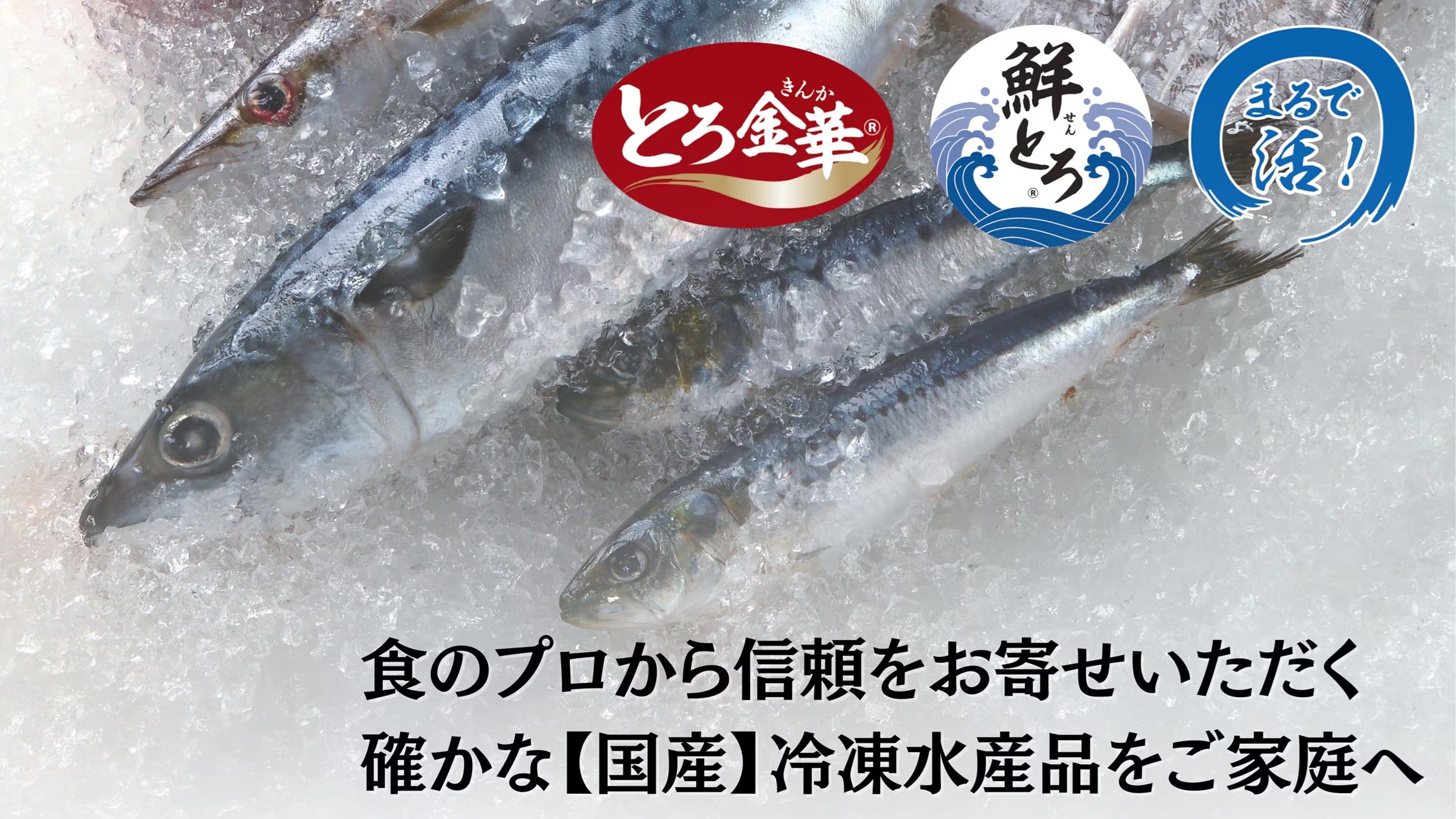宮城県産さんまお刺身フィーレ[株式会社ナチュラルシー] 宅配