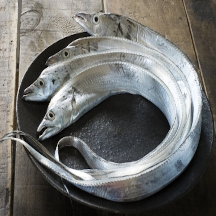 太刀魚巻「株式会社谷本蒲鉾店」 宅配