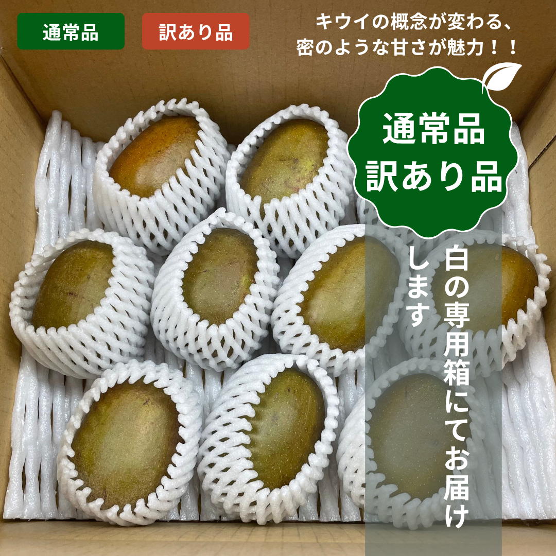 【予約販売】<10月下旬以降順次発送>3Lサイズ約6個(約0.8Kg)レインボーレッドキウイ 産地直送! 〔追熟なし〕「ぽぽ農園」 宅配 3L