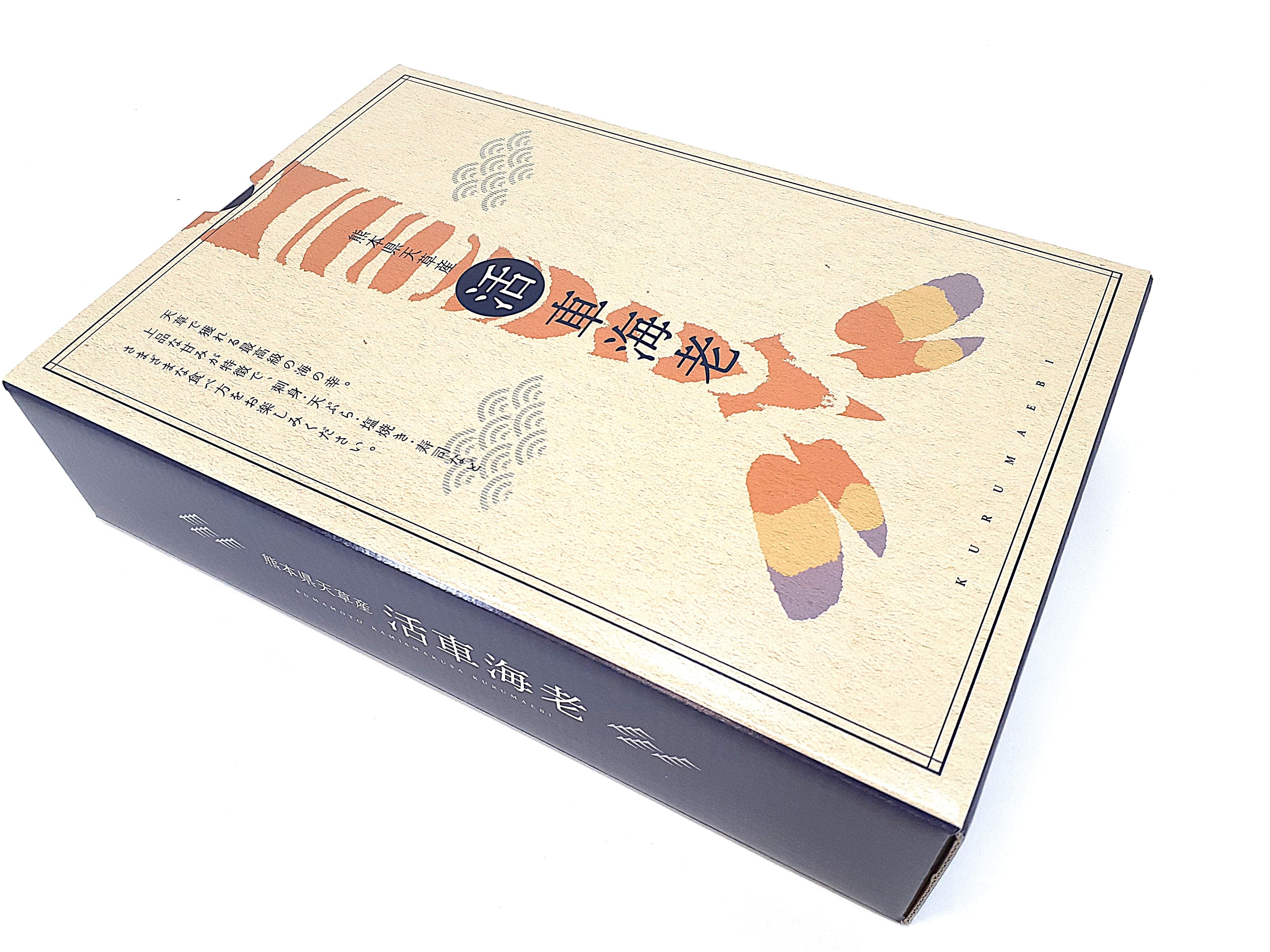 上天草ブランド認証品「旨甘 活車海老」約900g(27~39尾)「(株)フジオカ」 宅配