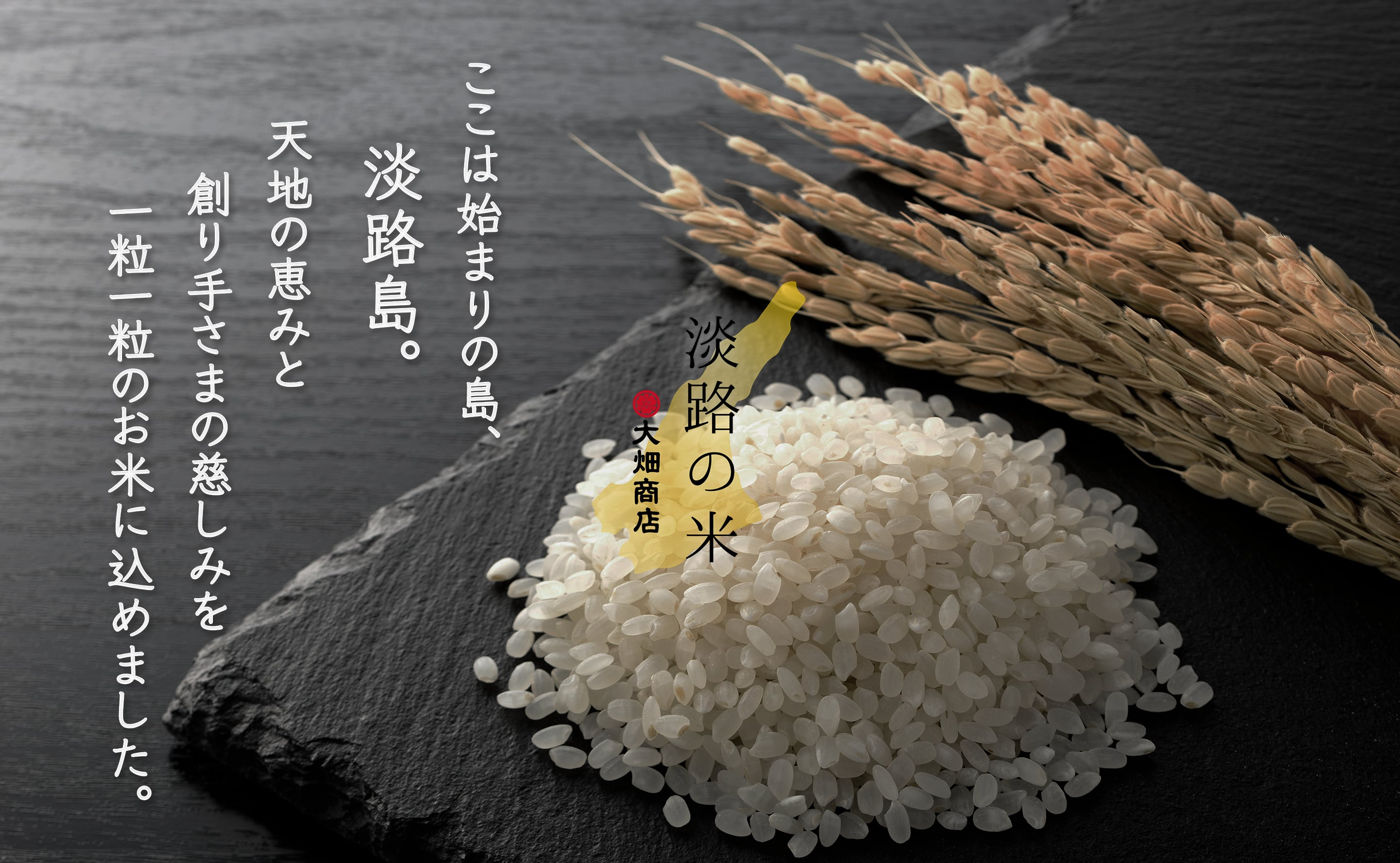 【プチギフト】10個入り 新米 白米2合| 自然栽培 農薬不使用「淡路の米」大畑商店 宅配