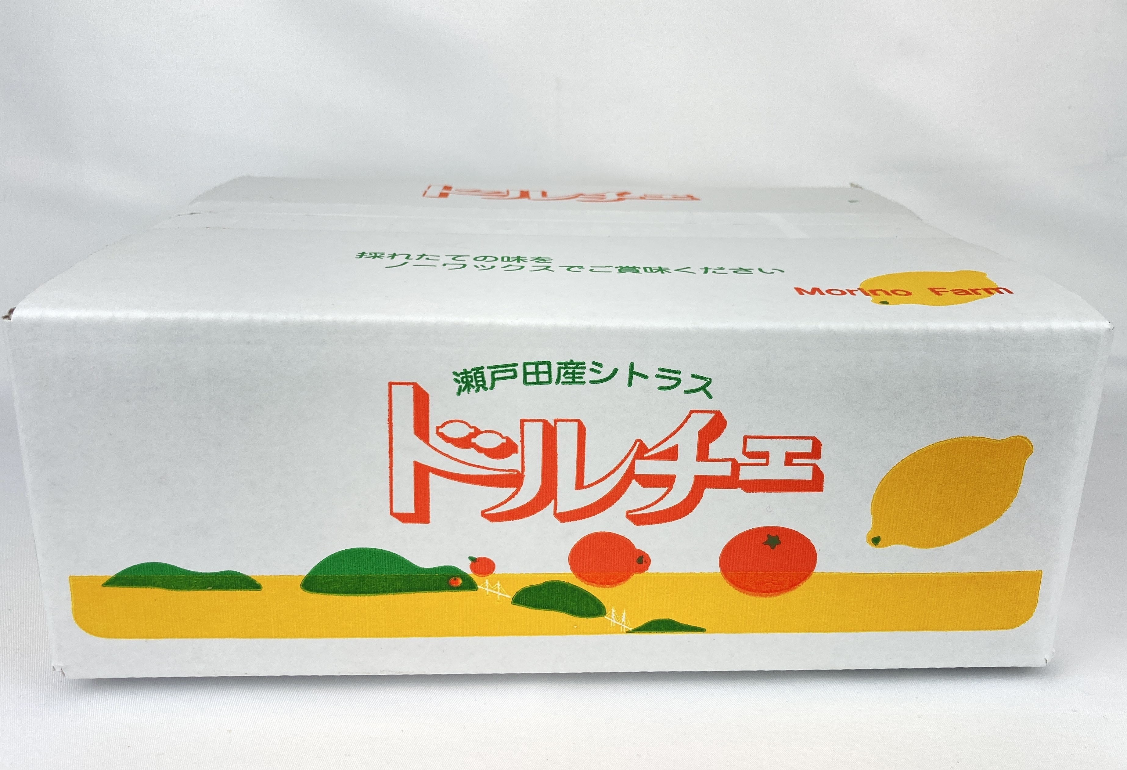 せとか 家庭用 箱込み10キロ以内 - 果物