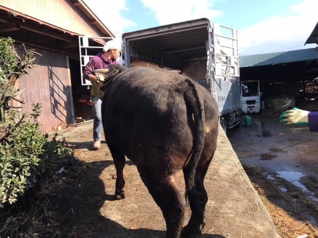 豊作和牛ダイヤモンドミンチ3パックセット(冷凍)「豊作ファーム」 宅配 1パック300g×3