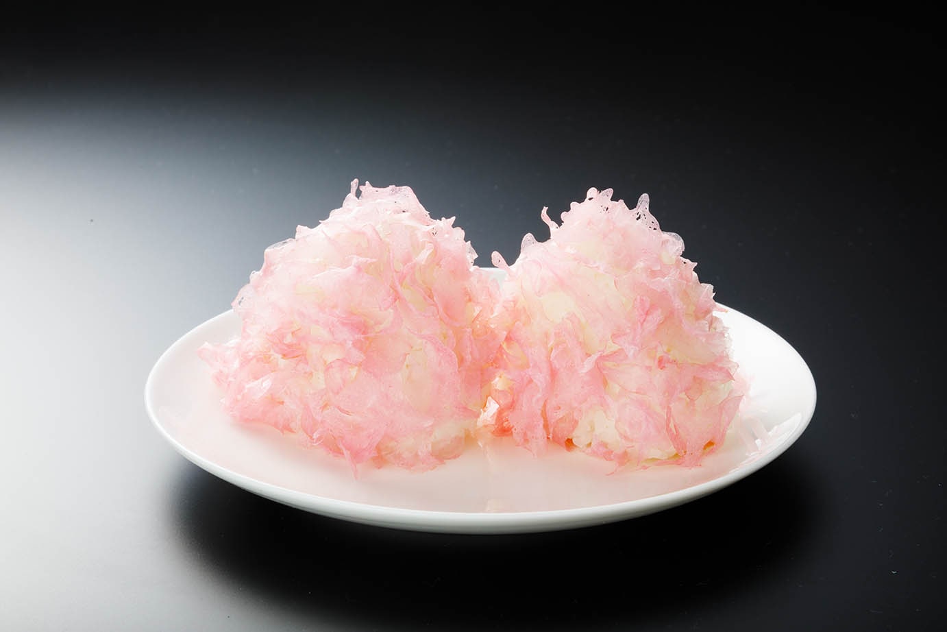 けずりかまぼこ「株式会社谷本蒲鉾店」 宅配