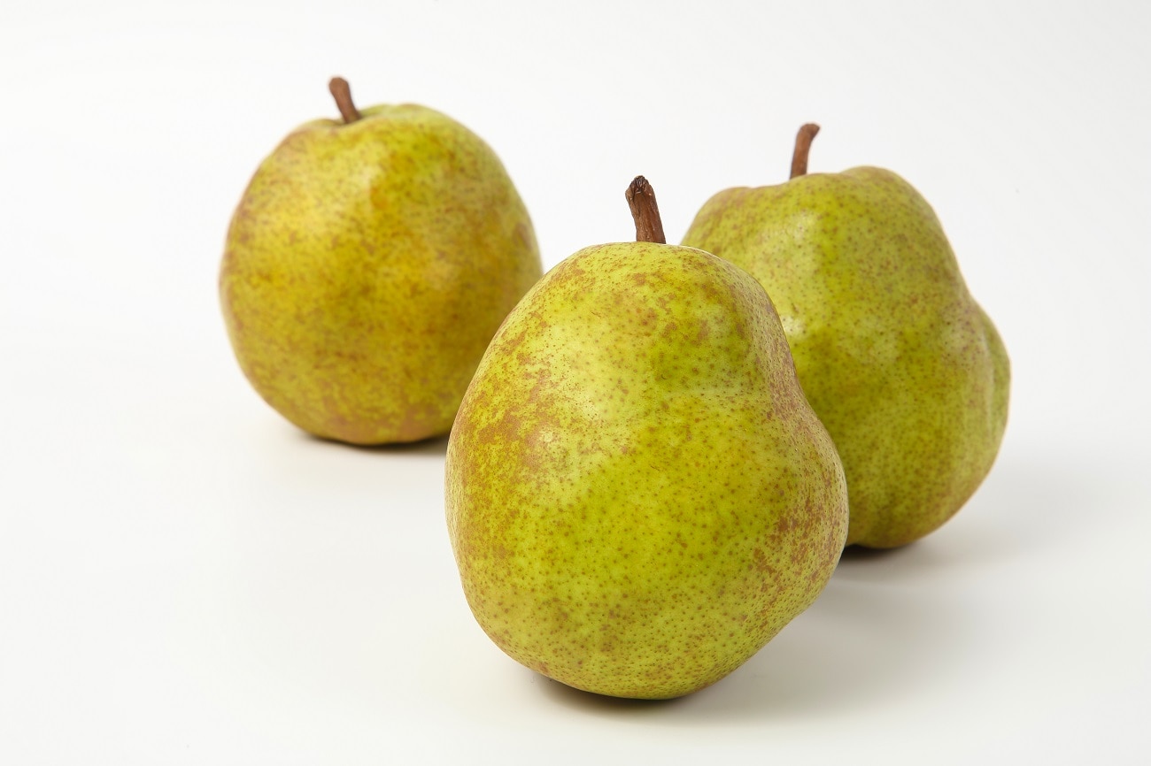 ラ・フランス 家庭用 3kg 8-12玉 11月中旬から発送 送料無料「アンスリーファーム」 宅配 家庭用 8-12玉 3kg