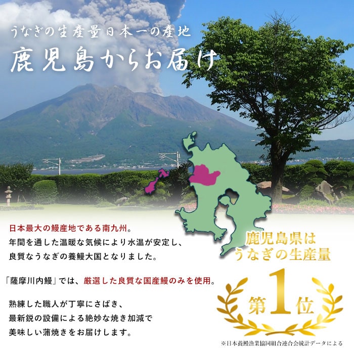 鹿児島県産うなぎ蒲焼 無頭約170g×2尾「薩摩川内市観光物産協会」 宅配 2尾
