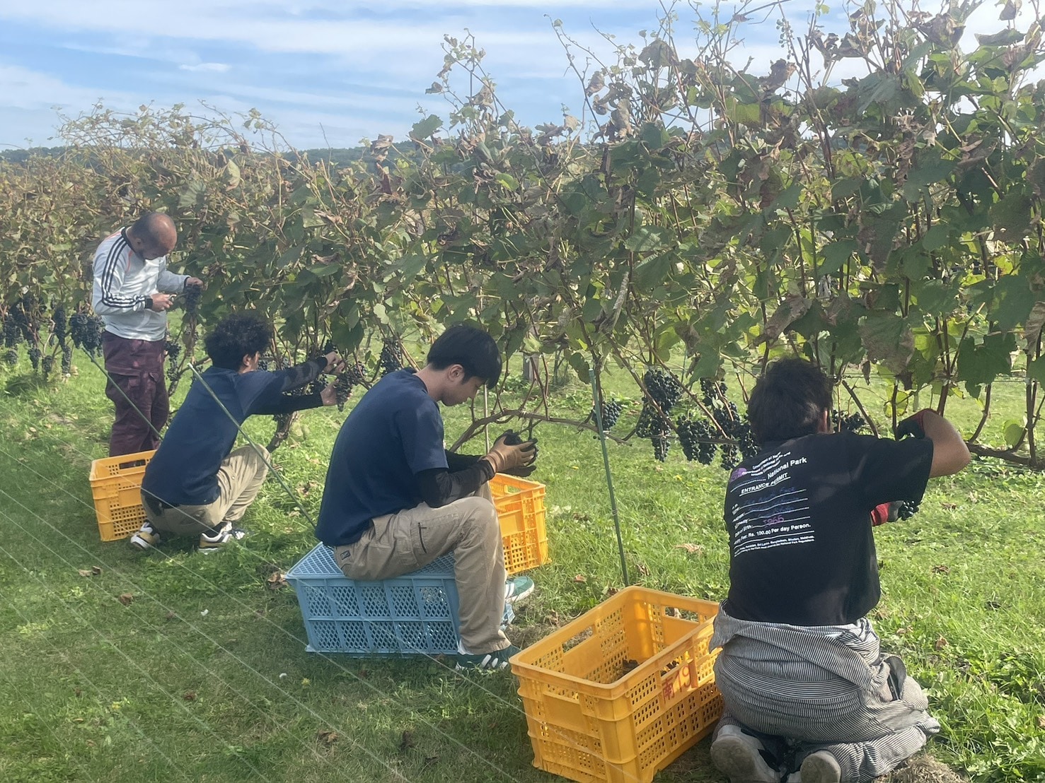 ひとつひとつ丁寧に積みます