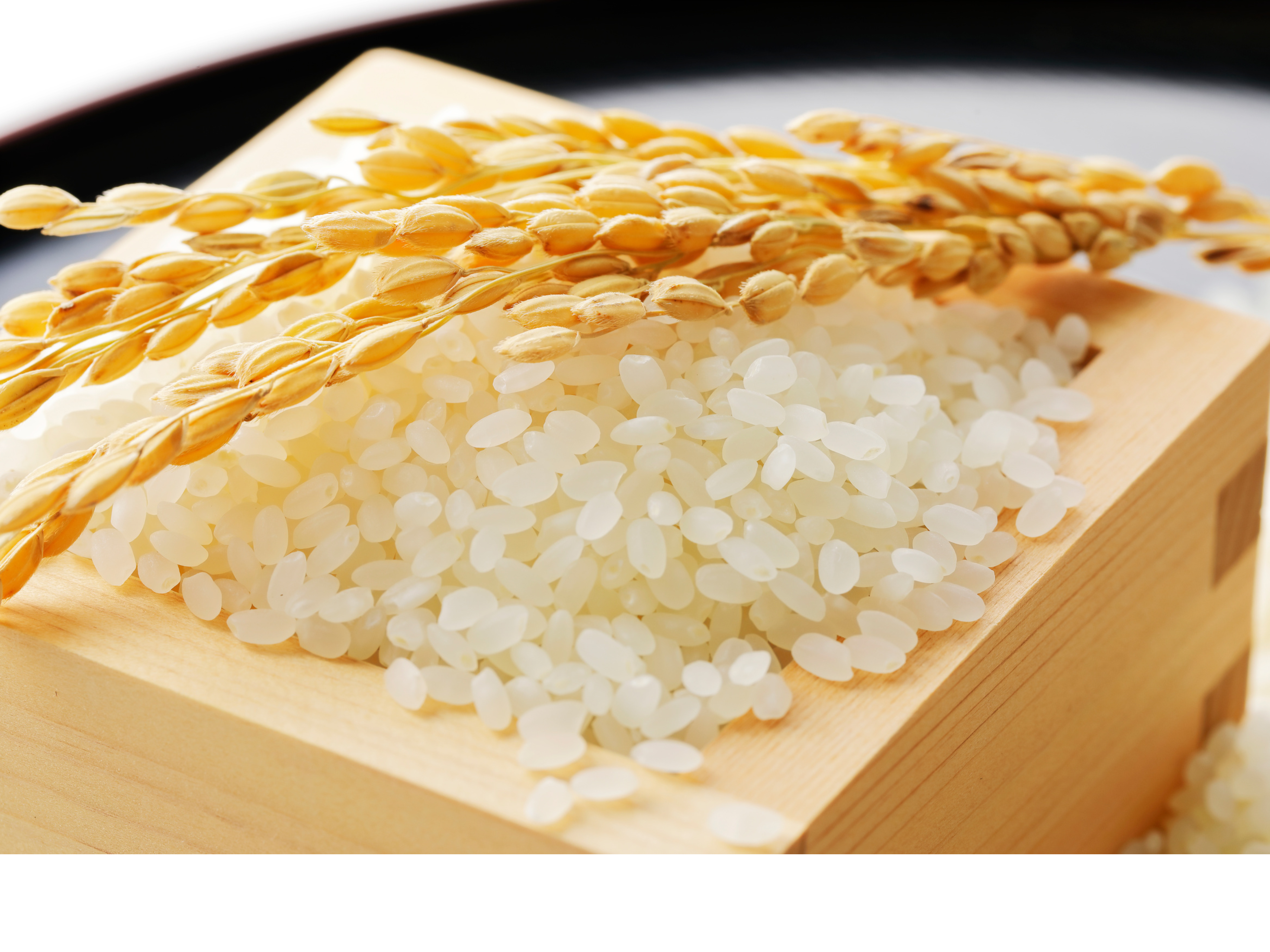 【プチギフト】10個入り 新米 白米2合| 自然栽培 農薬不使用「淡路の米」大畑商店 宅配