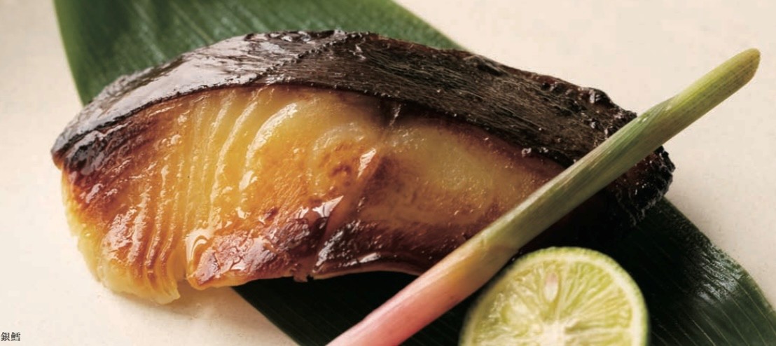 銀鱈西京漬け「株式会社青山」 宅配