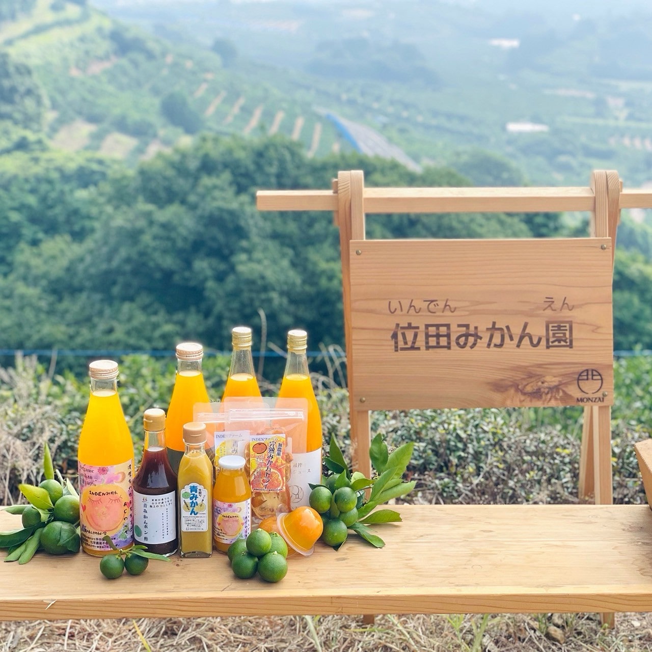 ゴロっとまるごと!インデンみかんゼリー2個セット《わたしをまるごとあじわって》〔INDENファーム株式会社〕 宅配 2個