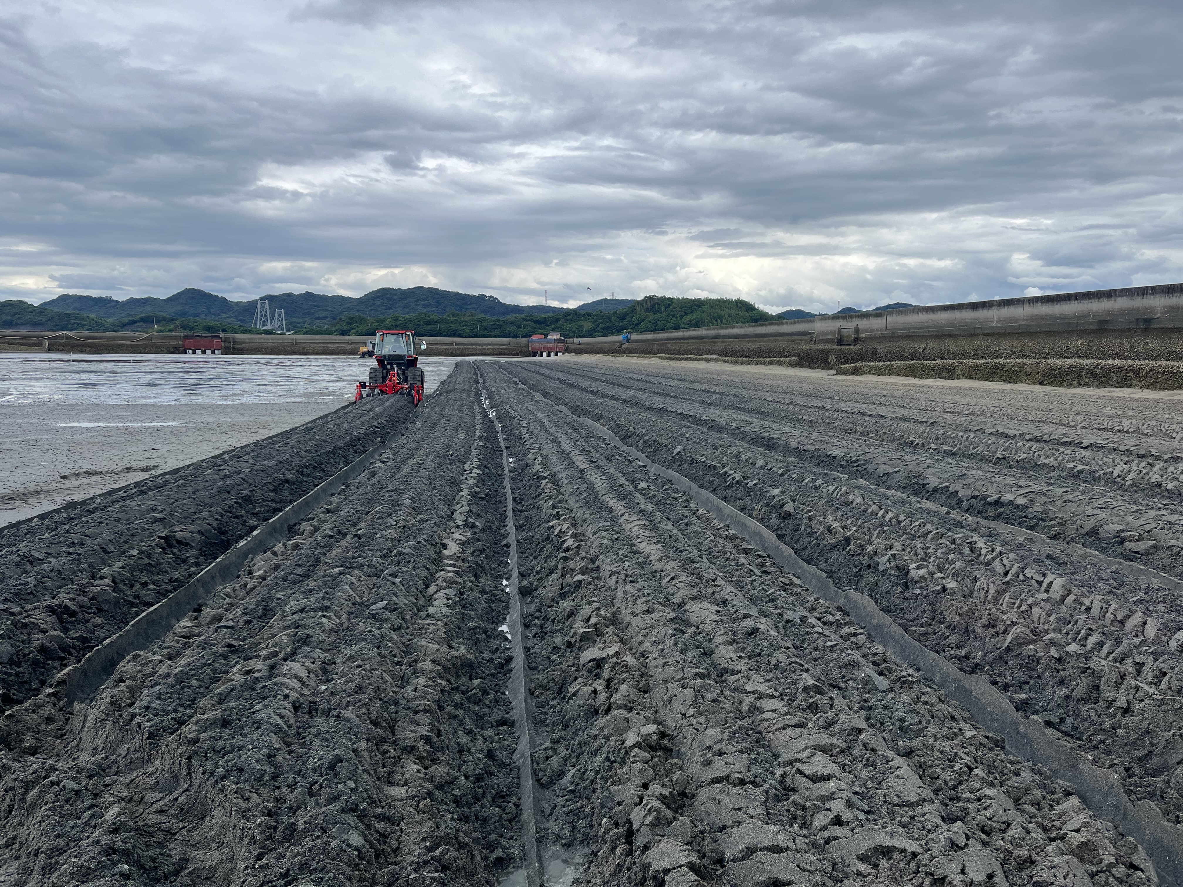 上天草ブランド認証品「旨甘 活車海老」約900g(27~39尾)「(株)フジオカ」 宅配