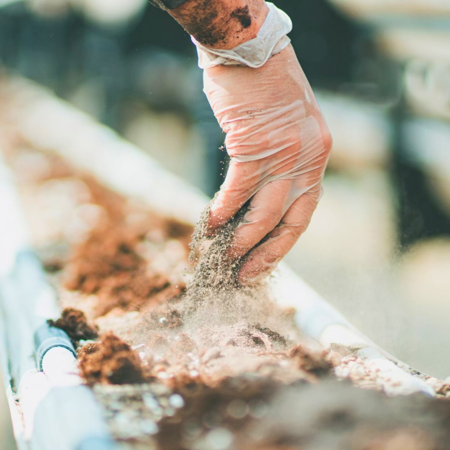 【お歳暮先行予約限定】雅乃苺 紅白セット-淡雪×ゆうべに- 380g【株式会社イチゴラス】 宅配