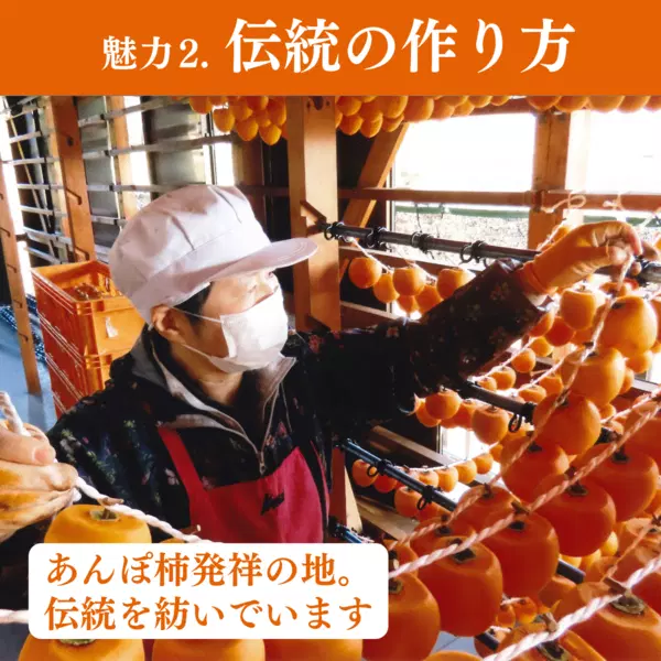 【予約販売のみ】〈ちょっとしたご褒美に、コクのある甘みを〉贈答用 伊達のあんぽ柿(蜂屋柿)9個|JAふくしま未来 宅配