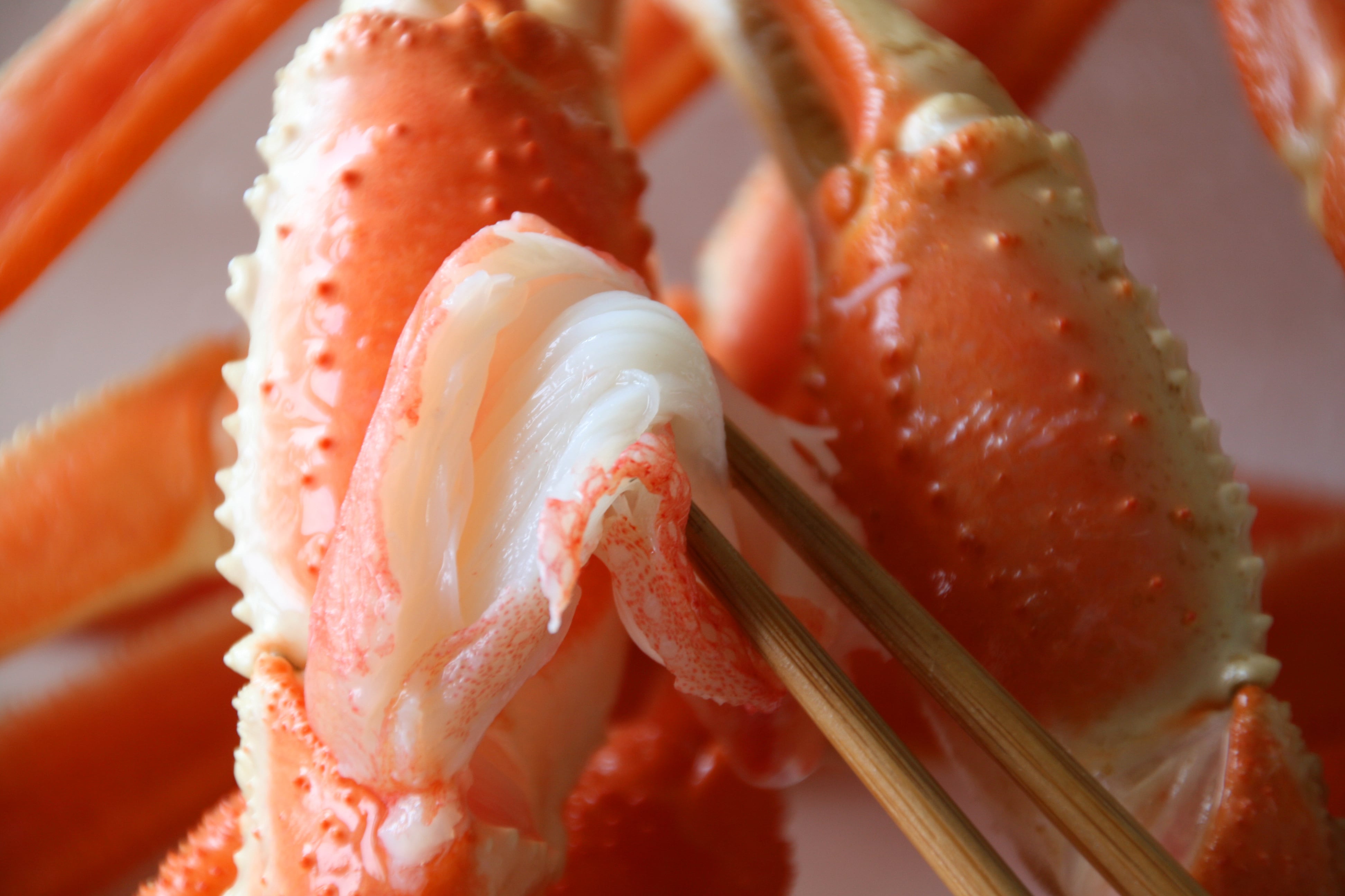 厳選 たらば蟹脚1kg本ずわい蟹脚1kg 王者の旨みと極上の甘みを一度に。贅沢食べ比べ2kgセット【株式会社ワイエス海商】 宅配 100サイズ