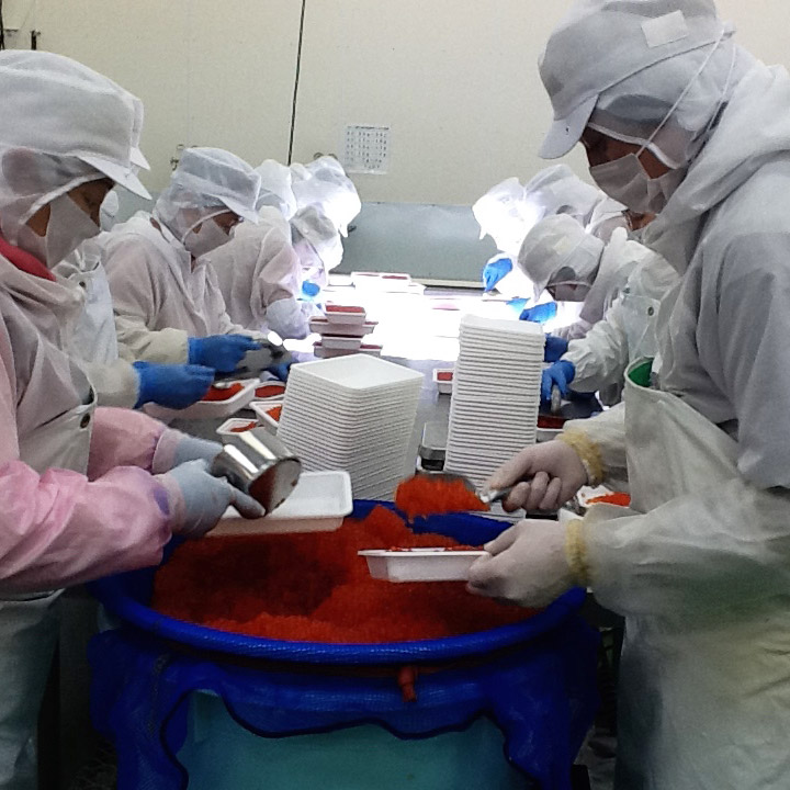 北海道産 冷凍ホタテ貝柱500g 特選いくら醤油漬け200g【株式会社ワイエス海商】 宅配 100サイズ