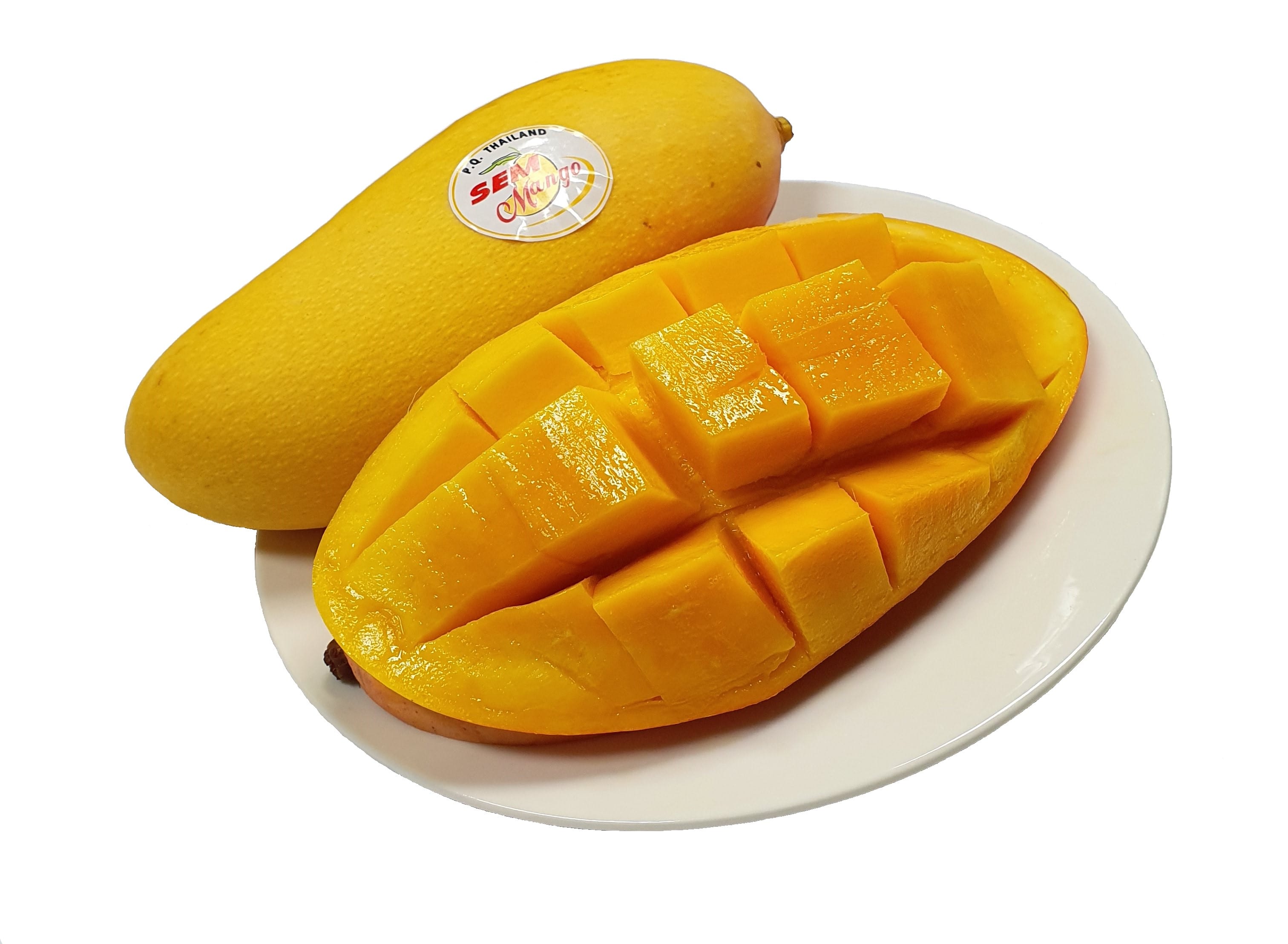 タイ産マンゴー 約 5Kg (10 個 ~ 16個入り) JALUXマンゴー(マハチャノック)6/18-6/20頃お届け(タイからJAL便で産地直送) 宅配 マンゴー(マハチャノック)約 5Kg (10 個 ~16個入り)