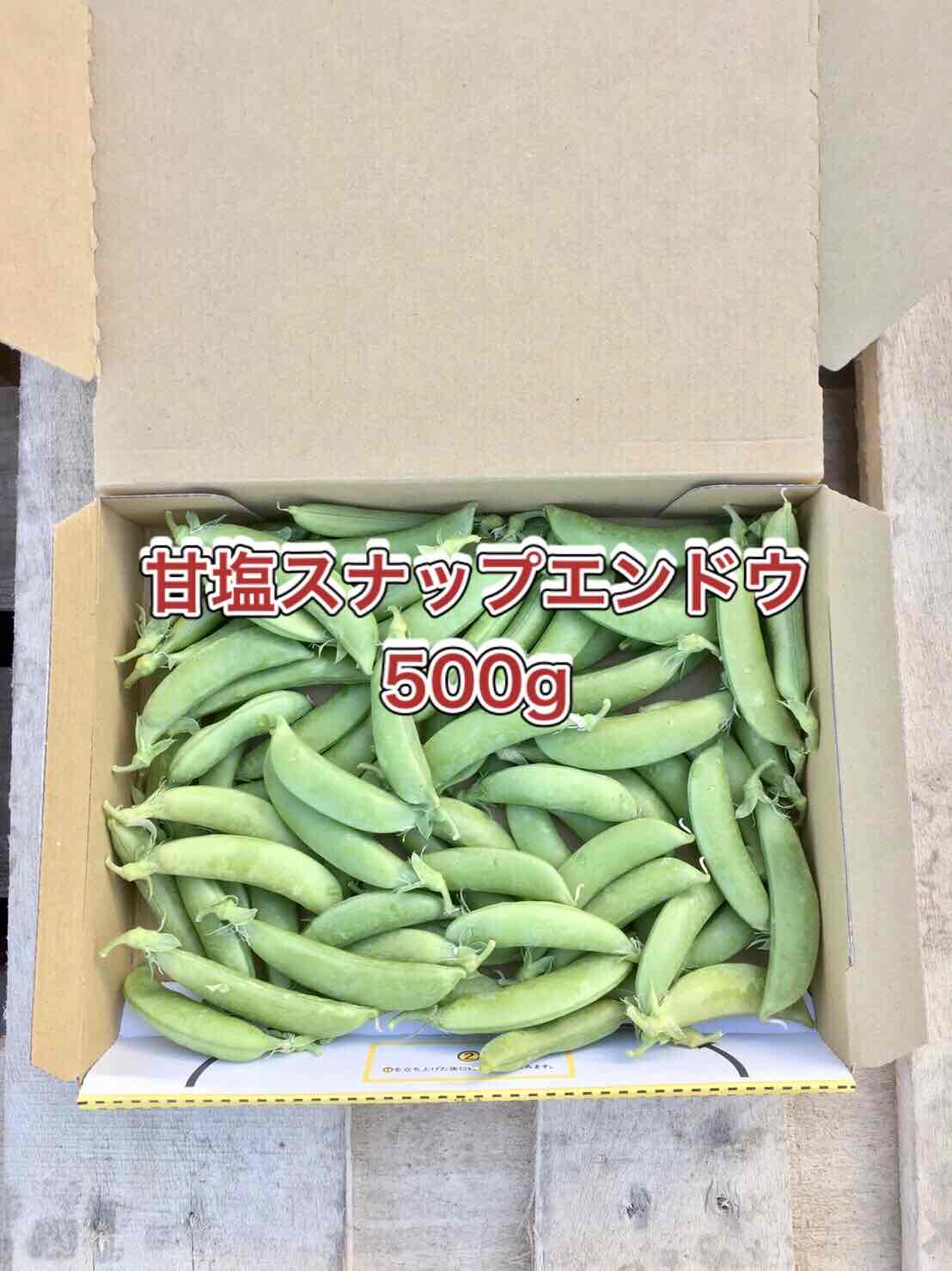 栽培期間中農薬不使用 スナップエンドウ500g - 野菜