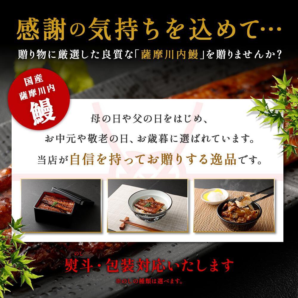鹿児島県産うなぎ蒲焼 無頭約170g×2尾「薩摩川内市観光物産協会」 宅配 2尾