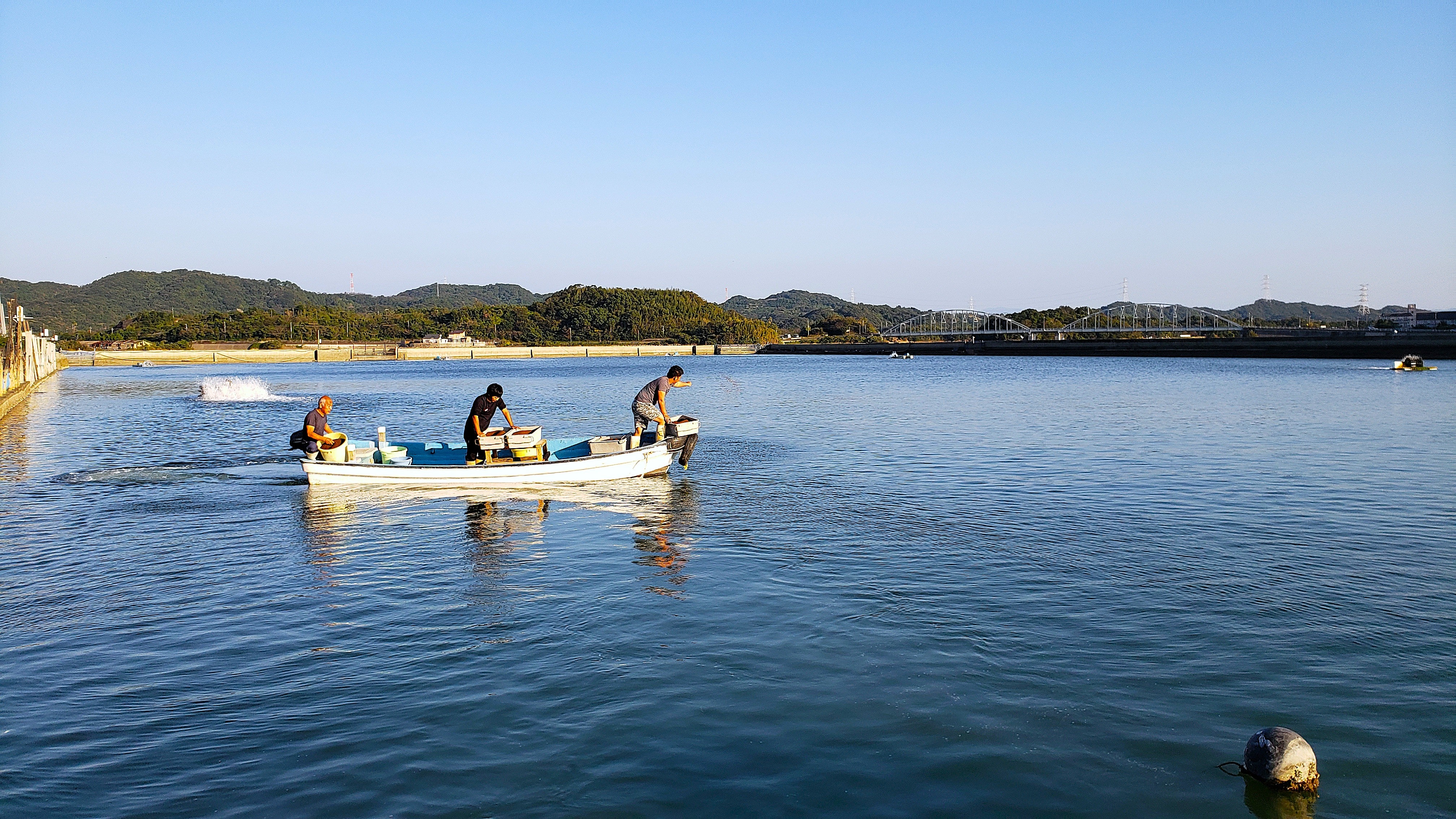 上天草ブランド認証品「旨甘 活車海老」約900g(27~39尾)「(株)フジオカ」 宅配