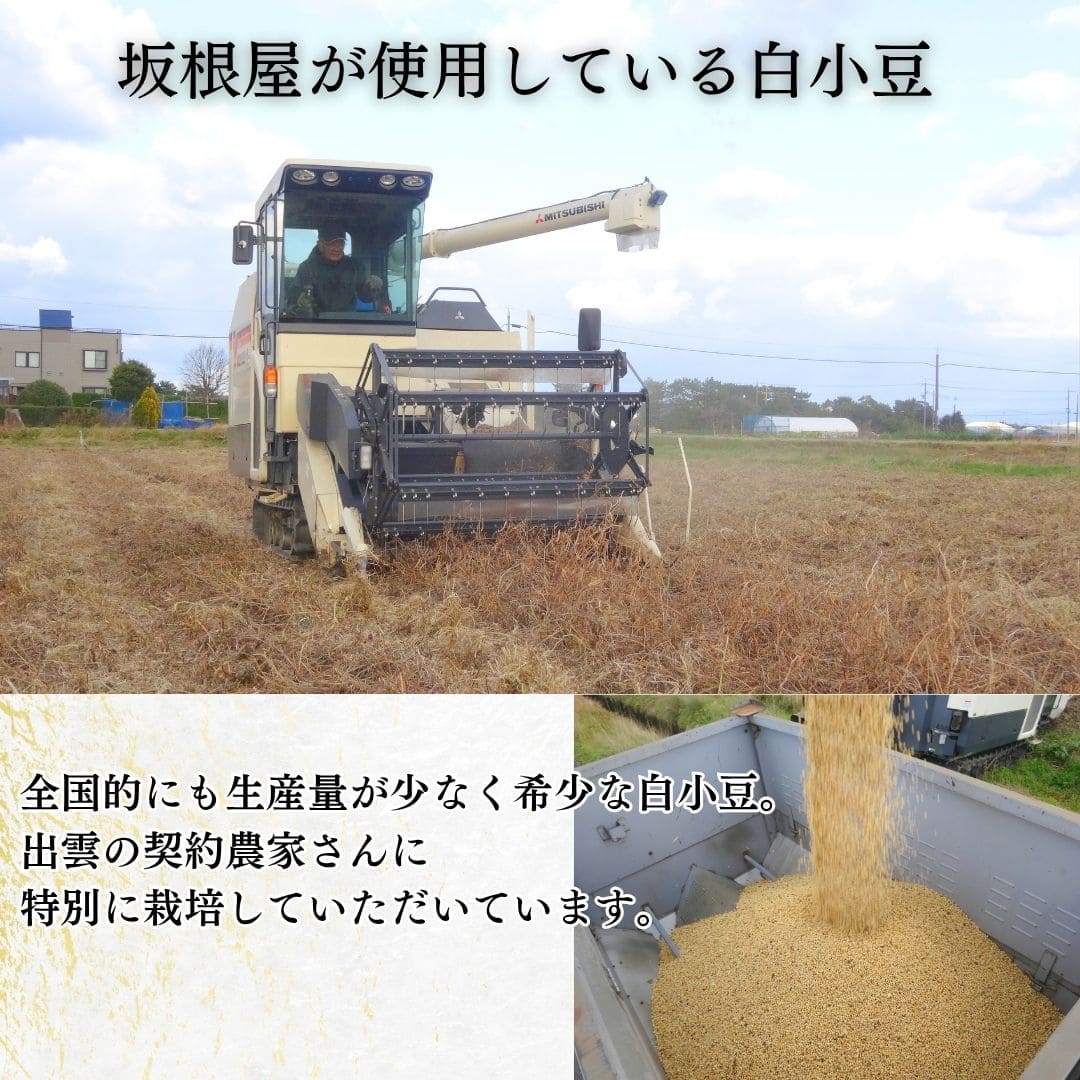 白い出雲ぜんざい~翼~5食セット【有限会社坂根屋】 宅配