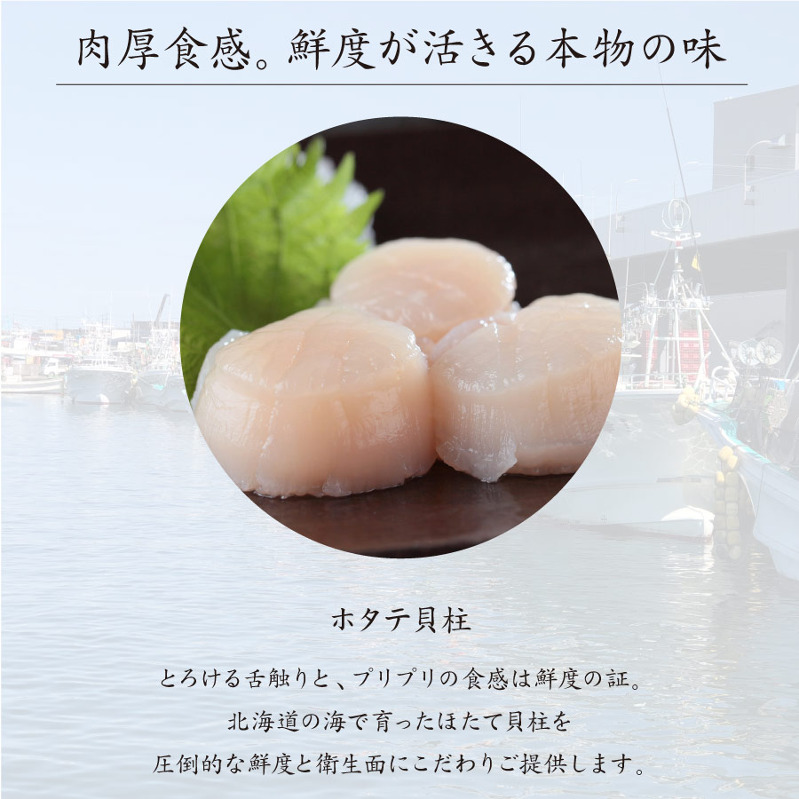 北海道産 冷凍ホタテ貝柱(刺身用)500g【株式会社ワイエス海商】 宅配 100サイズ
