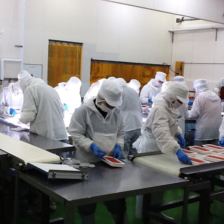 北海道産 冷凍ホタテ貝柱500g 特選いくら醤油漬け200g【株式会社ワイエス海商】 宅配 100サイズ