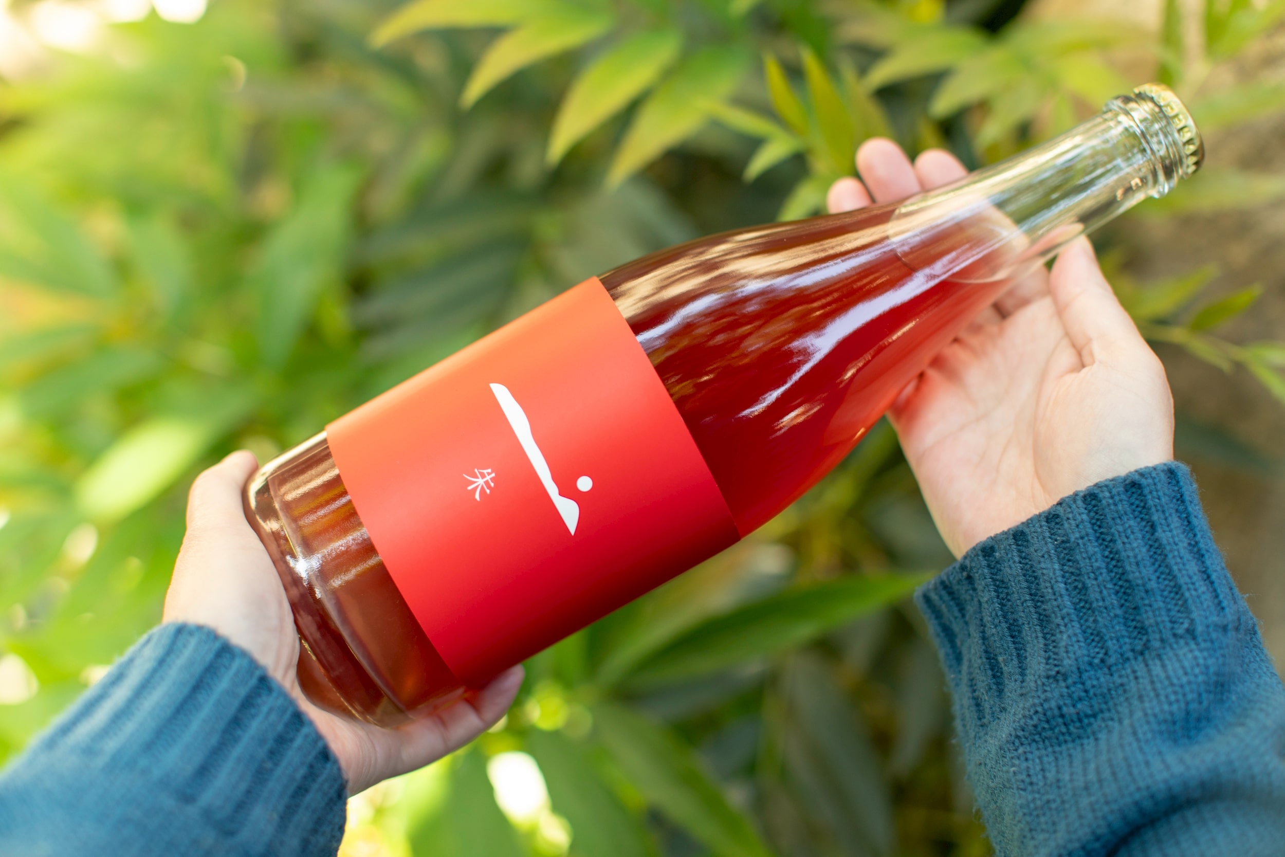 朱2025ロゼ「GRAPE SHIP」 宅配