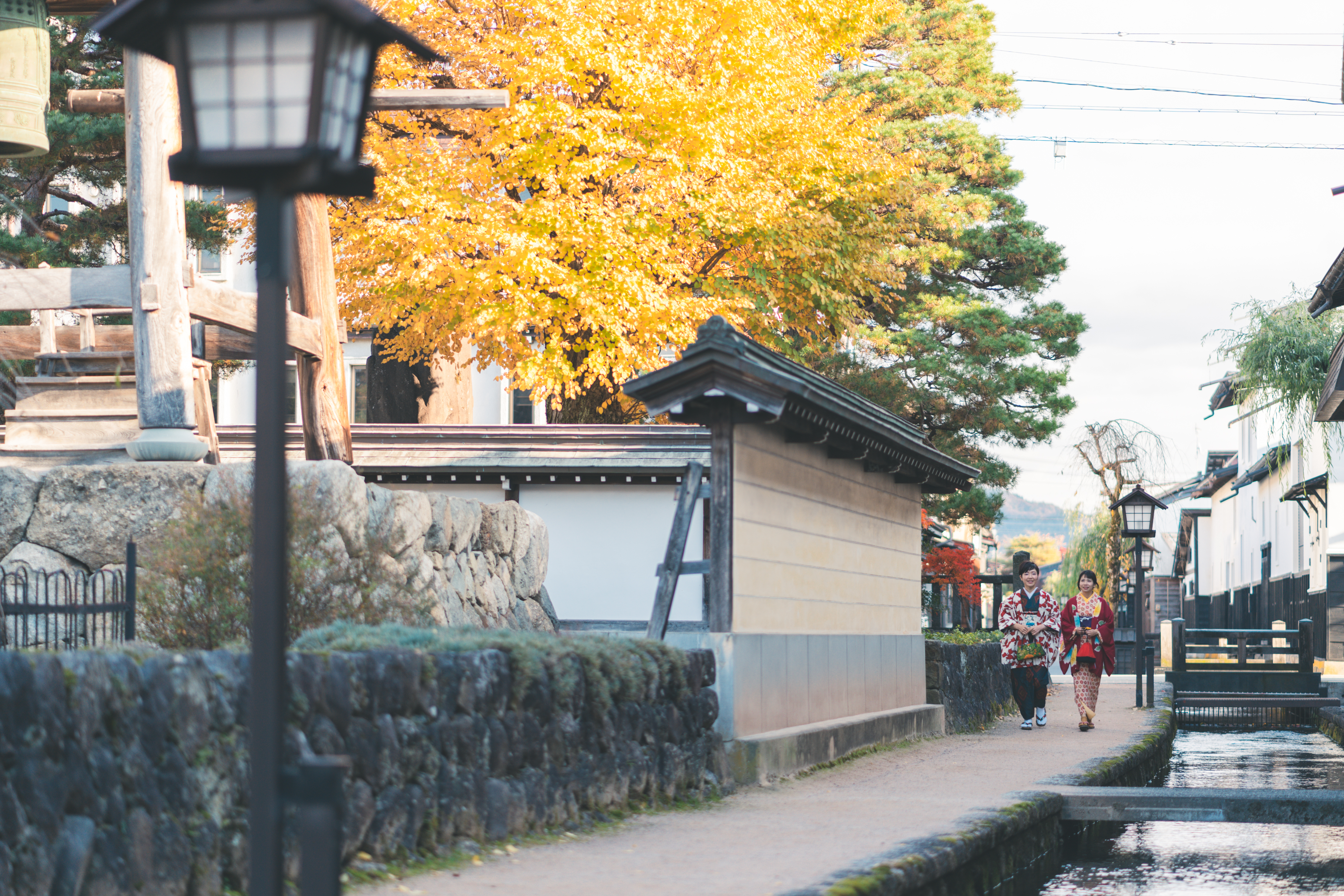 アメリカ便ご搭乗者さま限定!JAL和牛お土産サービス 飛騨牛A5(ロース) ブロック1.3kg 1.3kg