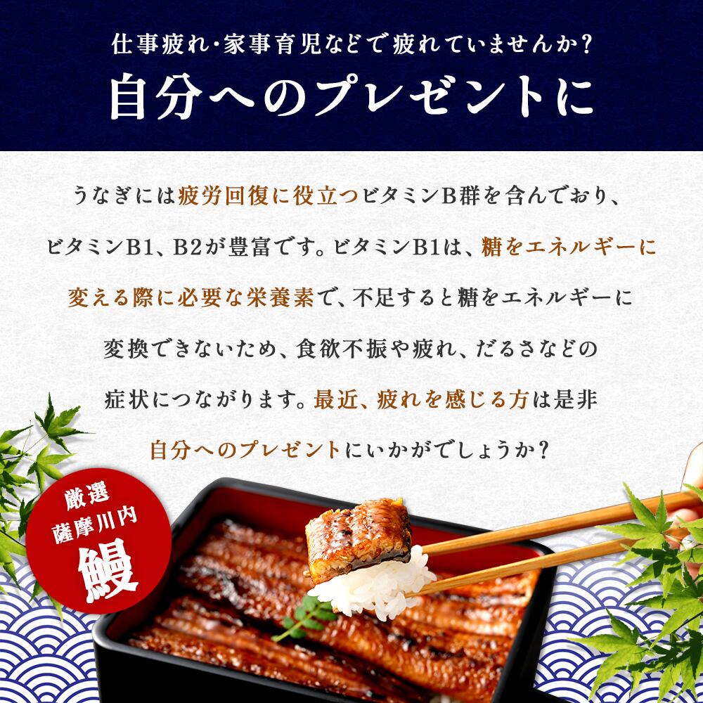 鹿児島県産うなぎ蒲焼 無頭約170g×2尾「薩摩川内市観光物産協会」 宅配 2尾