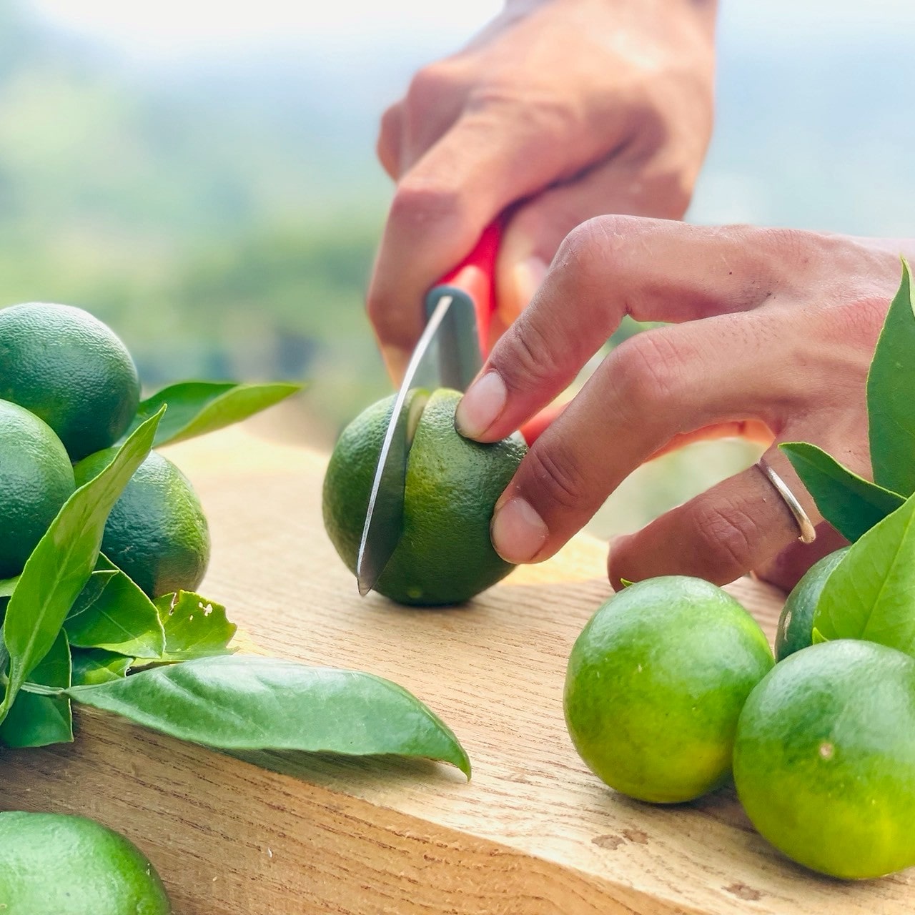 化学農薬不使用 青みかんポン酢〔INDENファーム株式会社〕 宅配