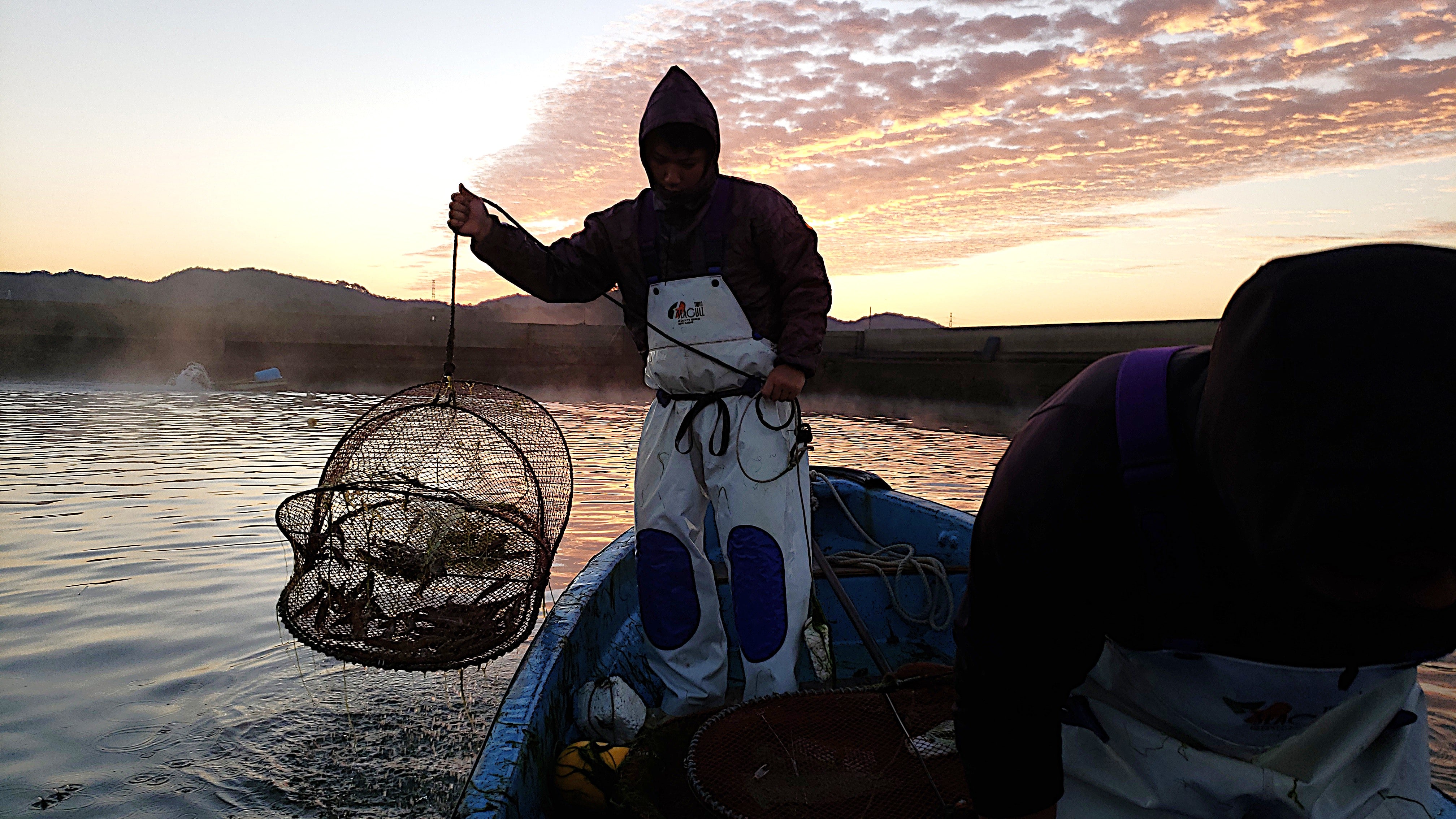 上天草ブランド認証品「旨甘 活車海老」約300g(9~14尾)〔株式会社フジオカ〕 宅配