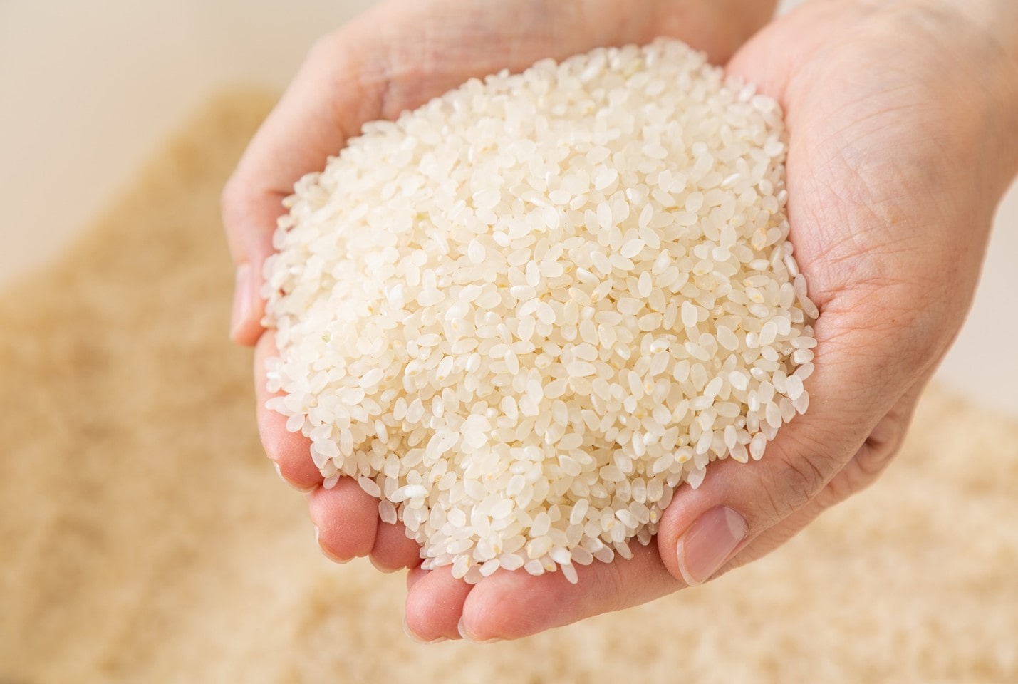 【羽田・成田発】JALお土産サービス「多古米」(千葉県)JAL国際線対象便ご搭乗者様限定! 宅配 6kg