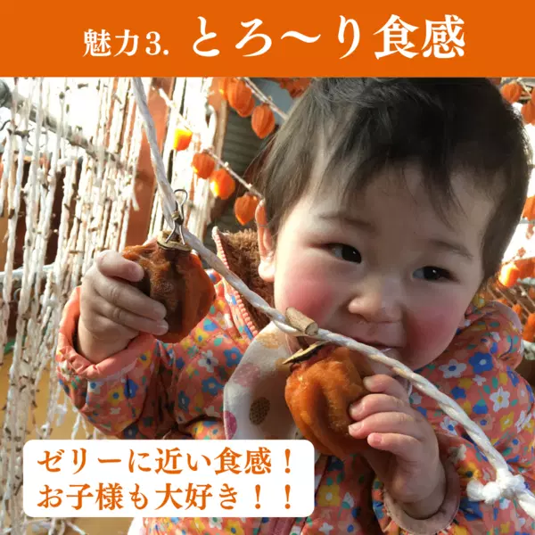 【予約販売のみ】〈ちょっとしたご褒美に、コクのある甘みを〉贈答用 伊達のあんぽ柿(蜂屋柿)9個|JAふくしま未来 宅配