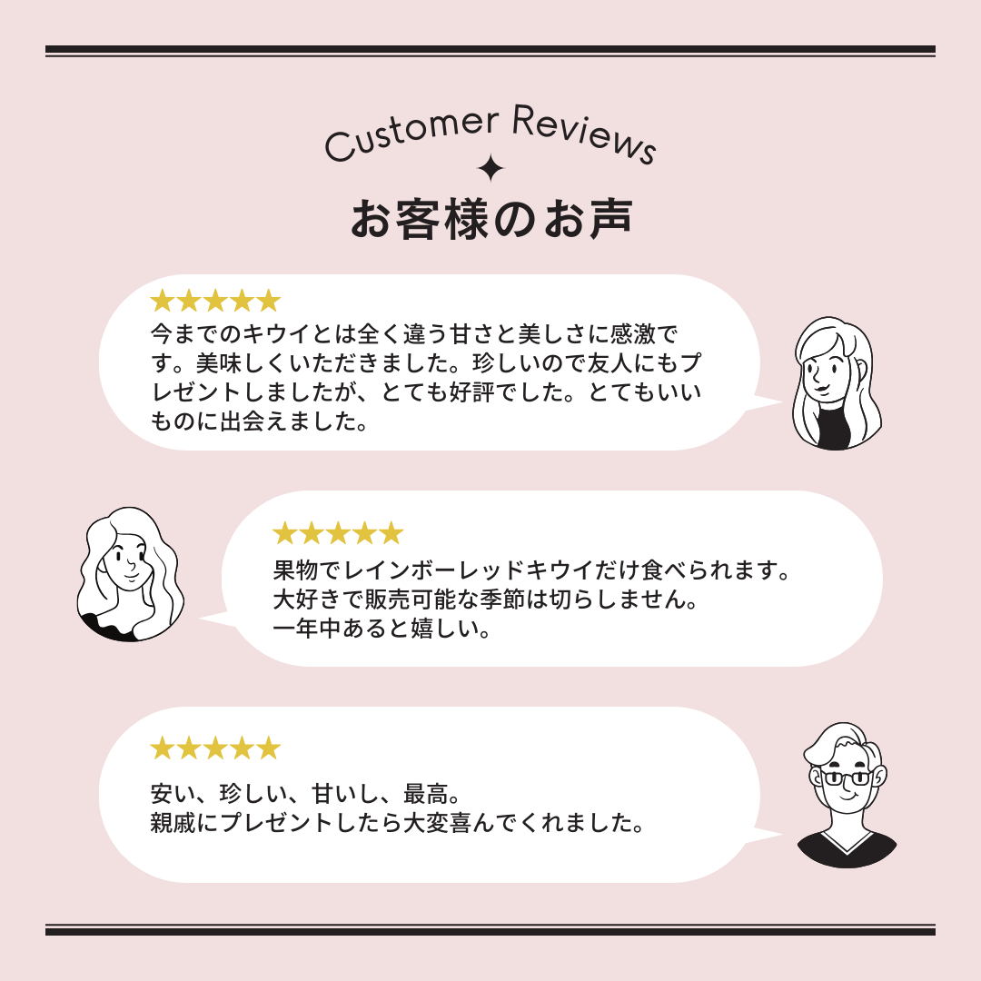 【完売】【予約販売】<10月下旬以降順次発送>2Lサイズ約8個(約1.0Kg) レインボーレッドキウイ 産地直送! 〔追熟なし〕「ぽぽ農園」 宅配 2L