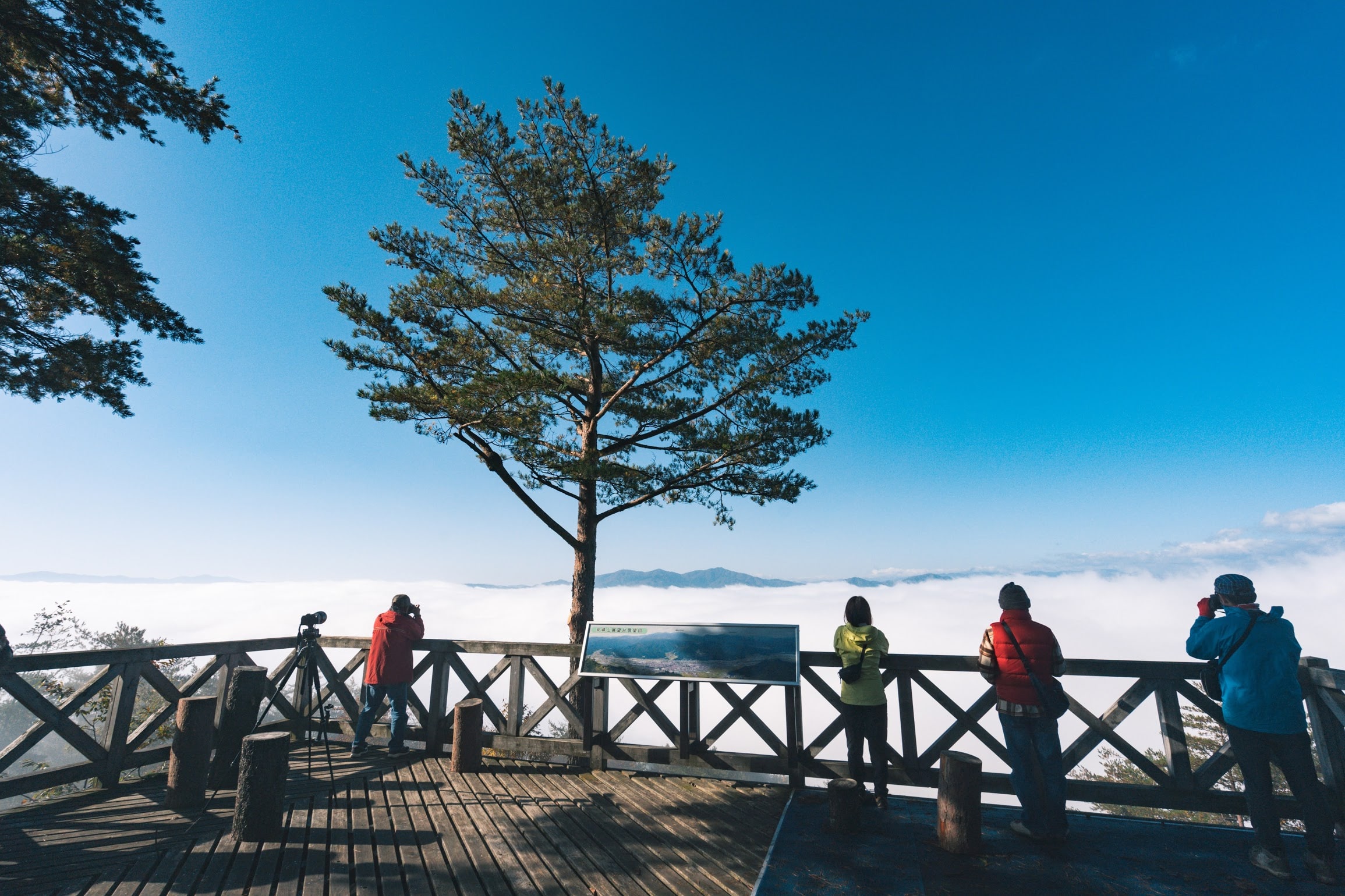 アメリカ便ご搭乗者さま限定!JAL和牛お土産サービス 飛騨牛A5(ロース) ブロック1.3kg 1.3kg