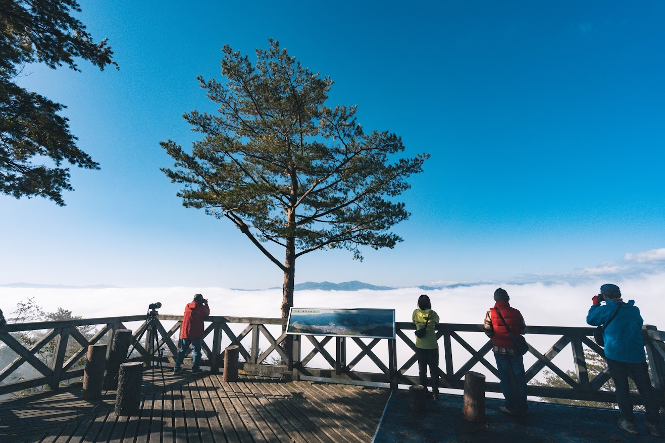 シンガポール便ご搭乗者さま限定!JAL和牛お土産サービス 飛騨牛A5(ロース) スライス(しゃぶしゃぶ・すき焼き用)2kg(250g×8) 2kg(250g×8)