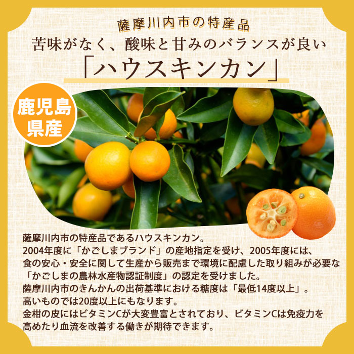 金柑チョコフィナンシェ4個入×2箱「薩摩川内市観光物産協会」 宅配 2箱(計8本)