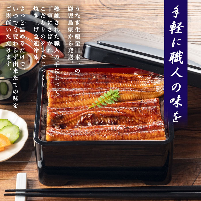 鹿児島県産うなぎ蒲焼 無頭約170g×2尾「薩摩川内市観光物産協会」 宅配 2尾