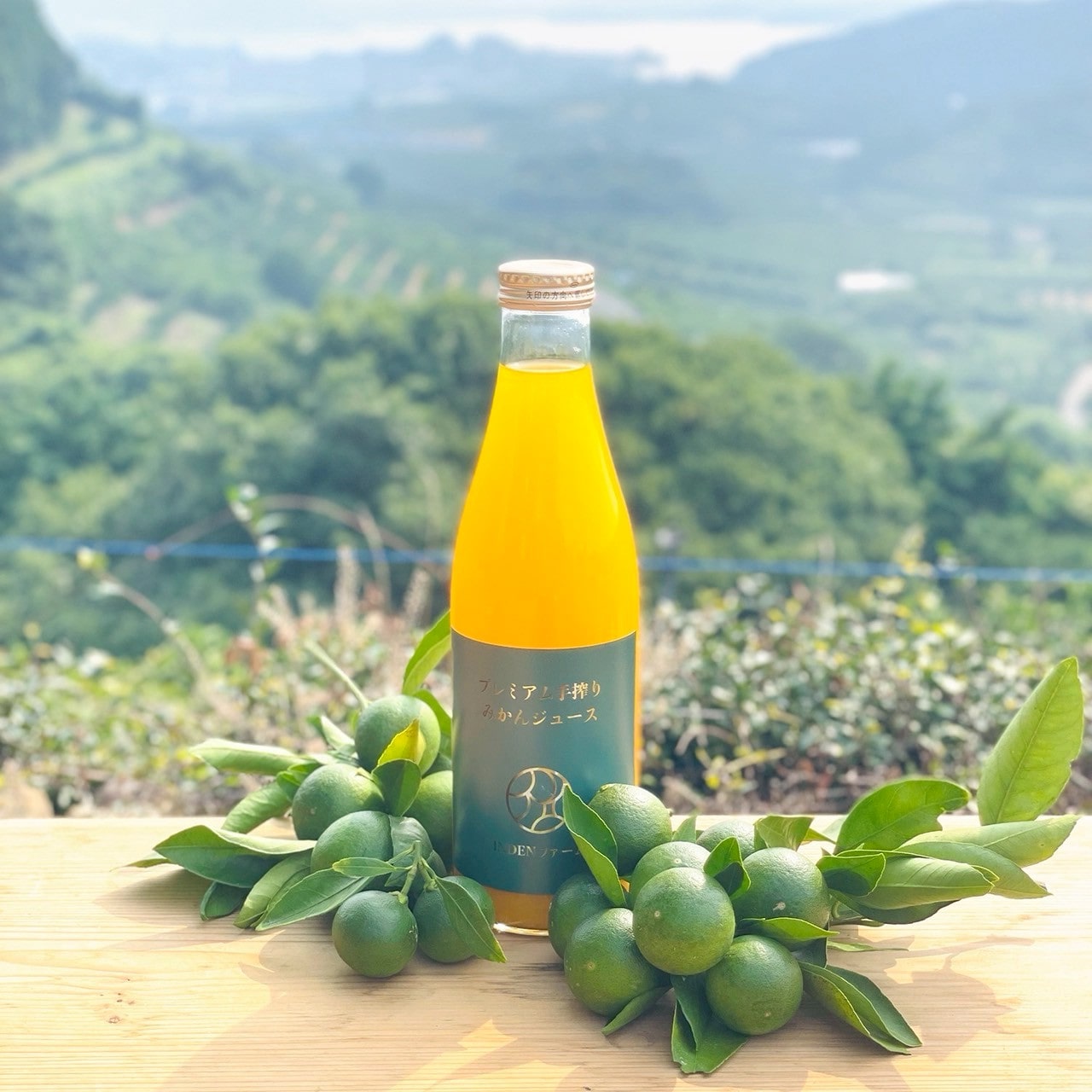 化学農薬不使用 ストレートみかんジュース3種類 3本セット〔INDENファーム株式会社〕 宅配